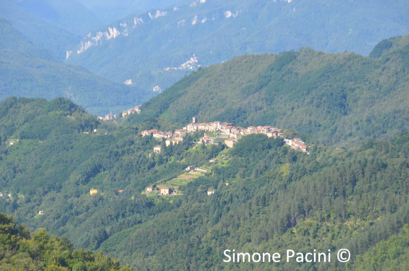 TEREGLIO: VEDUTA DA MONTEFEGATESI